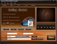 4Easysoft DVD to MPEG Converter screenshot